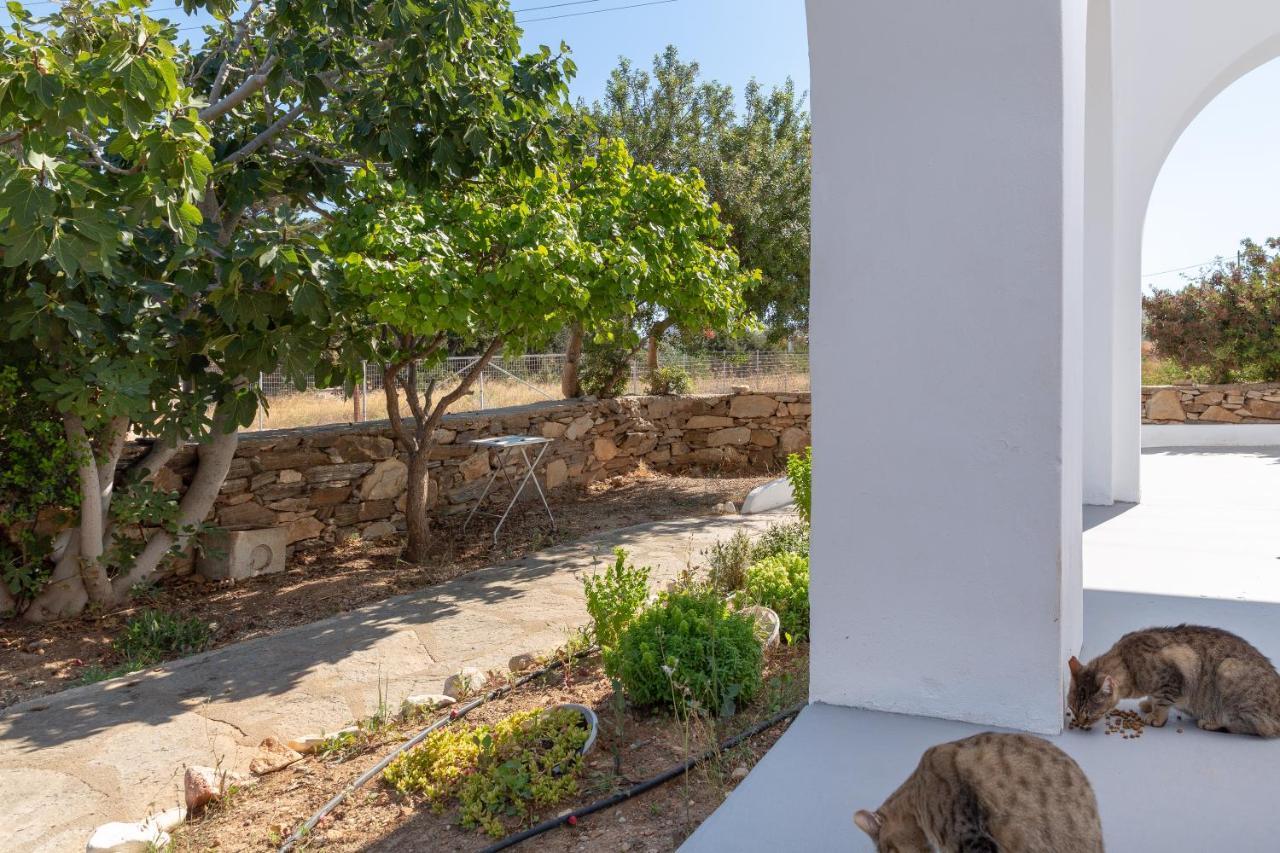 Blue Violet Apartment Δρυός Εξωτερικό φωτογραφία
