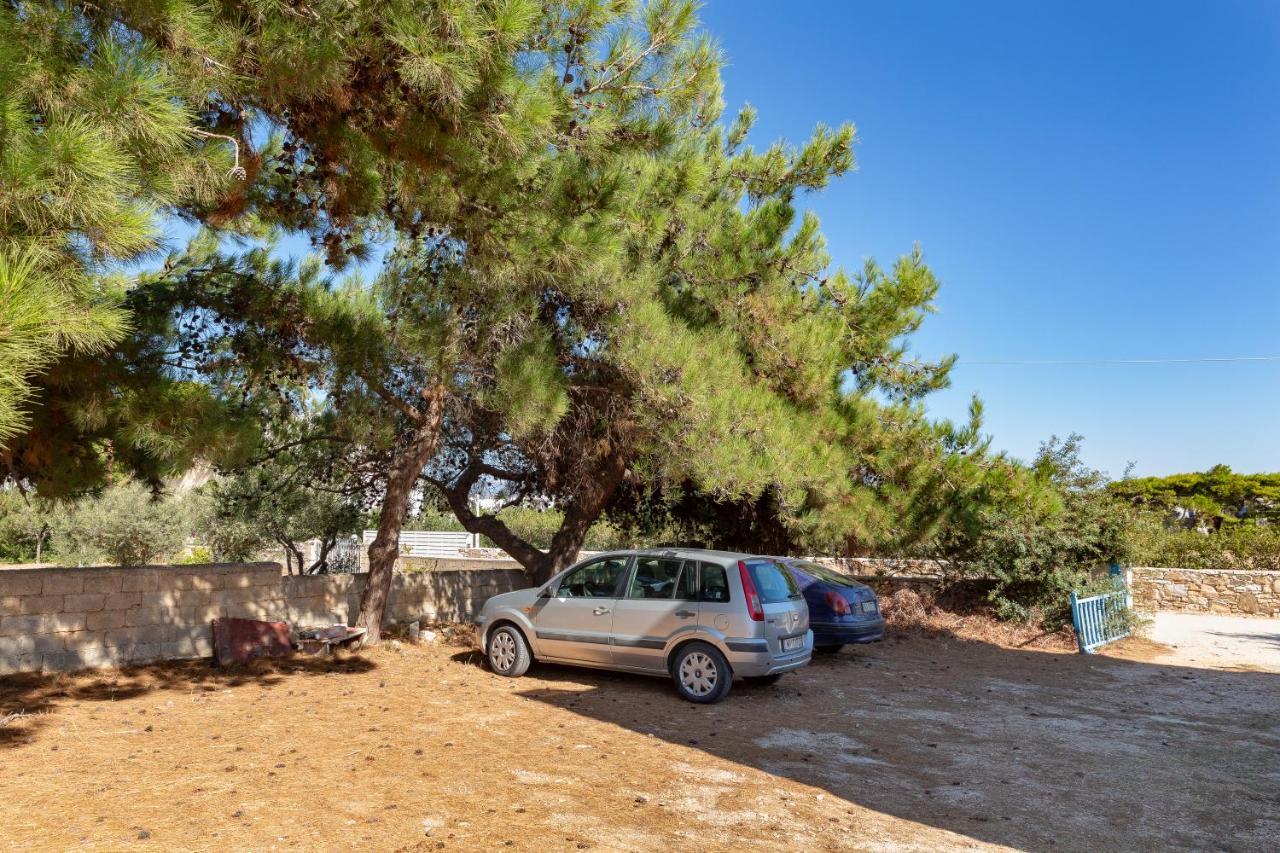 Blue Violet Apartment Δρυός Εξωτερικό φωτογραφία